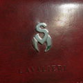Zlati monogram ali črka